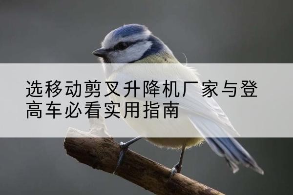 武定电动升降机厂家-选移动剪叉升降机厂家与登高车必看实用指南