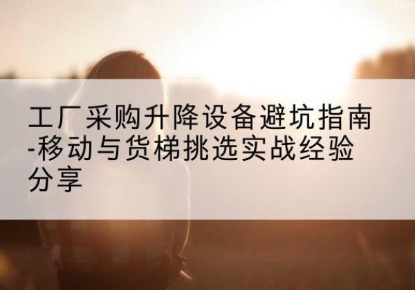 武定移动式升降机怎么选-工厂采购升降设备避坑指南-移动与货梯挑选实战经验分享
