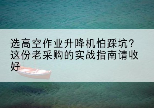 武定高空作业升降机厂家推荐-选高空作业升降机怕踩坑？这份老采购的实战指南请收好