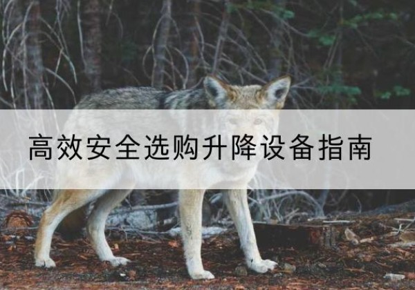 武定升降货梯厂家推荐-*安全选购升降设备指南