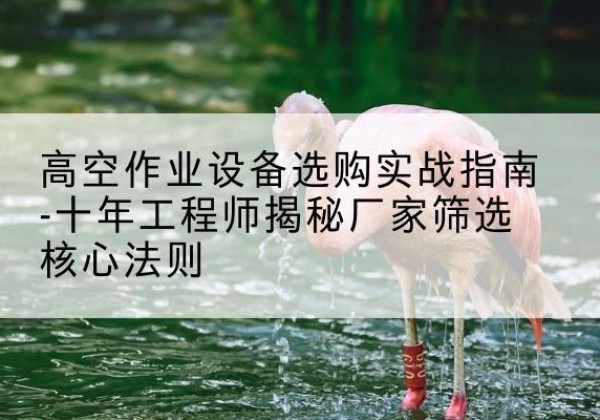 武定剪叉式升降机厂家-高空作业设备选购实战指南-十年工程师揭秘厂家筛选核心法则